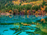 特惠纯玩九寨、黄龙、峨眉山、乐山、圣水寺双飞六日游